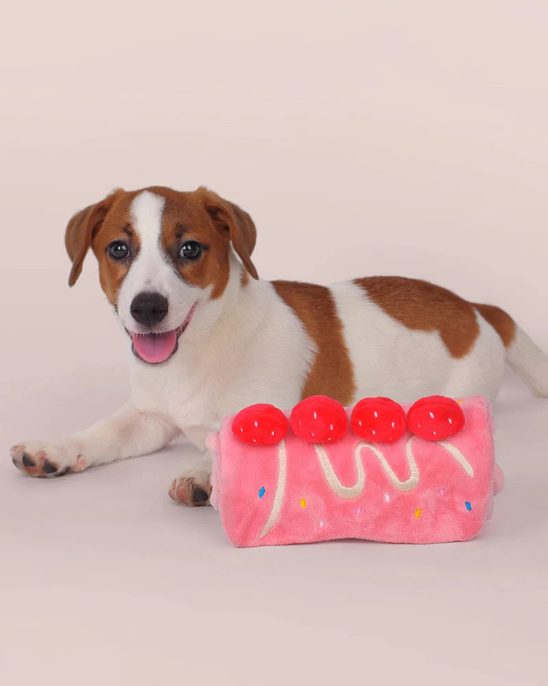 Strawberry Snuffle Cake Dog Treat Toy - Image 9