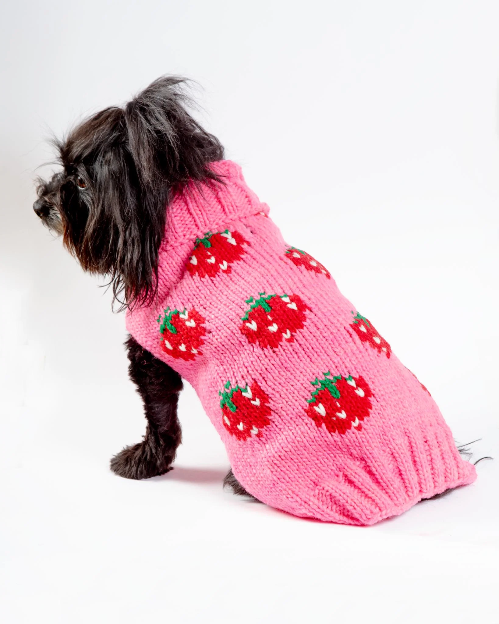 Strawberry Wool Dog Sweater (FINAL SALE) - Image 3