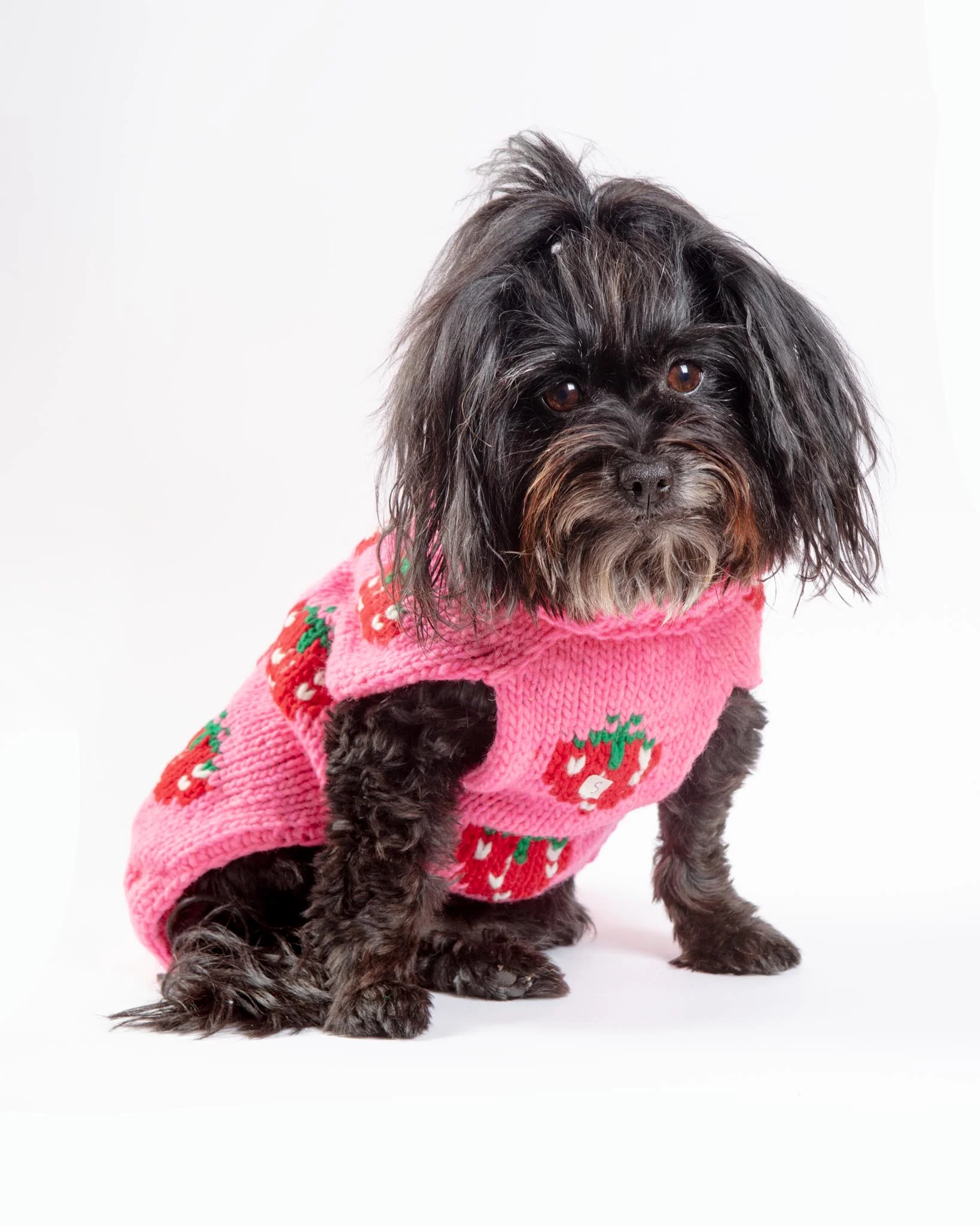 Strawberry Wool Dog Sweater (FINAL SALE) - Image 4