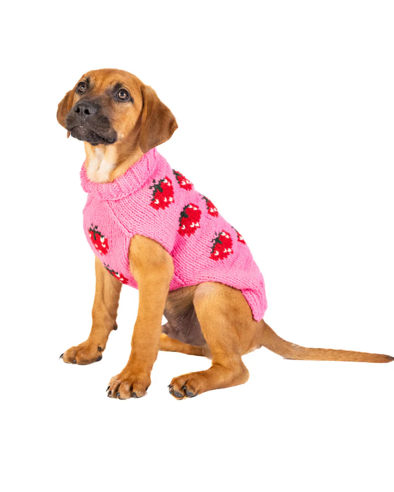 Strawberry Wool Dog Sweater (FINAL SALE) - Image 6