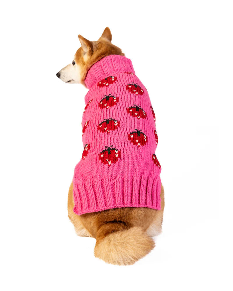 Strawberry Wool Dog Sweater (FINAL SALE) - Image 7