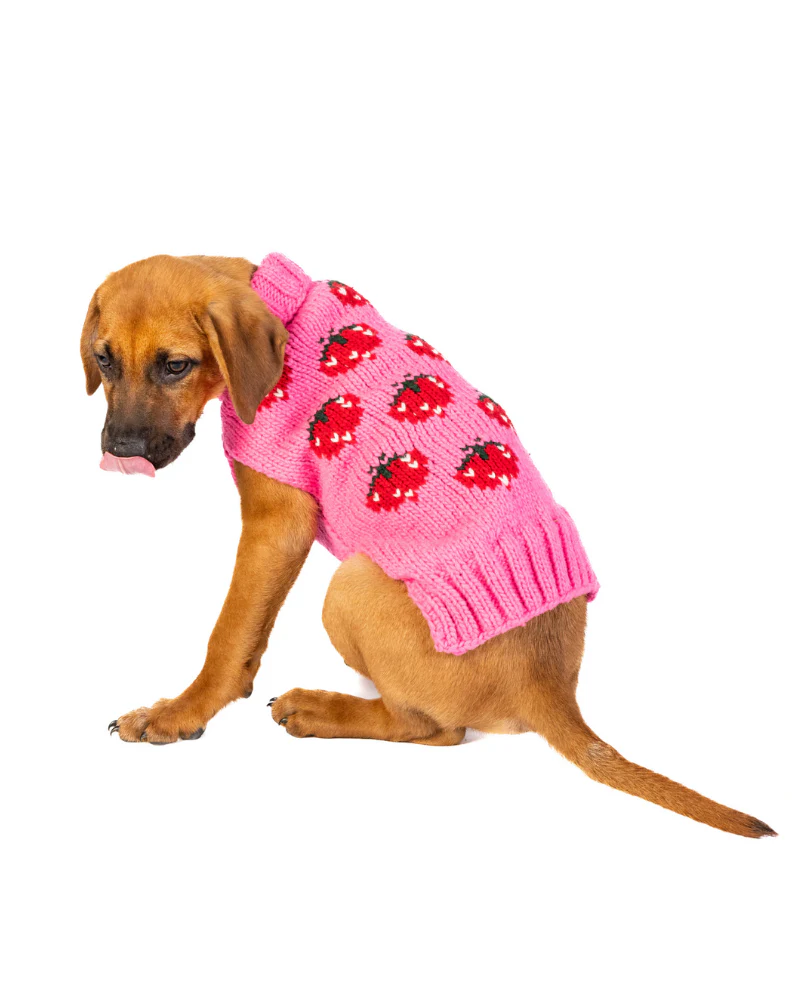 Strawberry Wool Dog Sweater (FINAL SALE) - Image 8