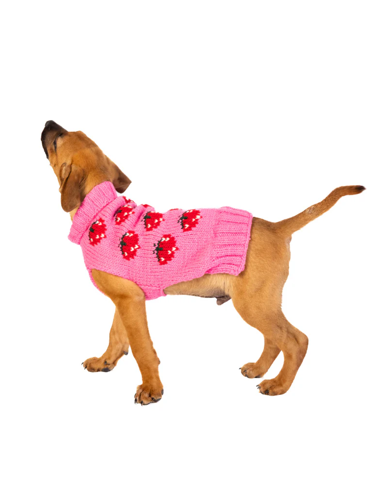 Strawberry Wool Dog Sweater (FINAL SALE) - Image 9