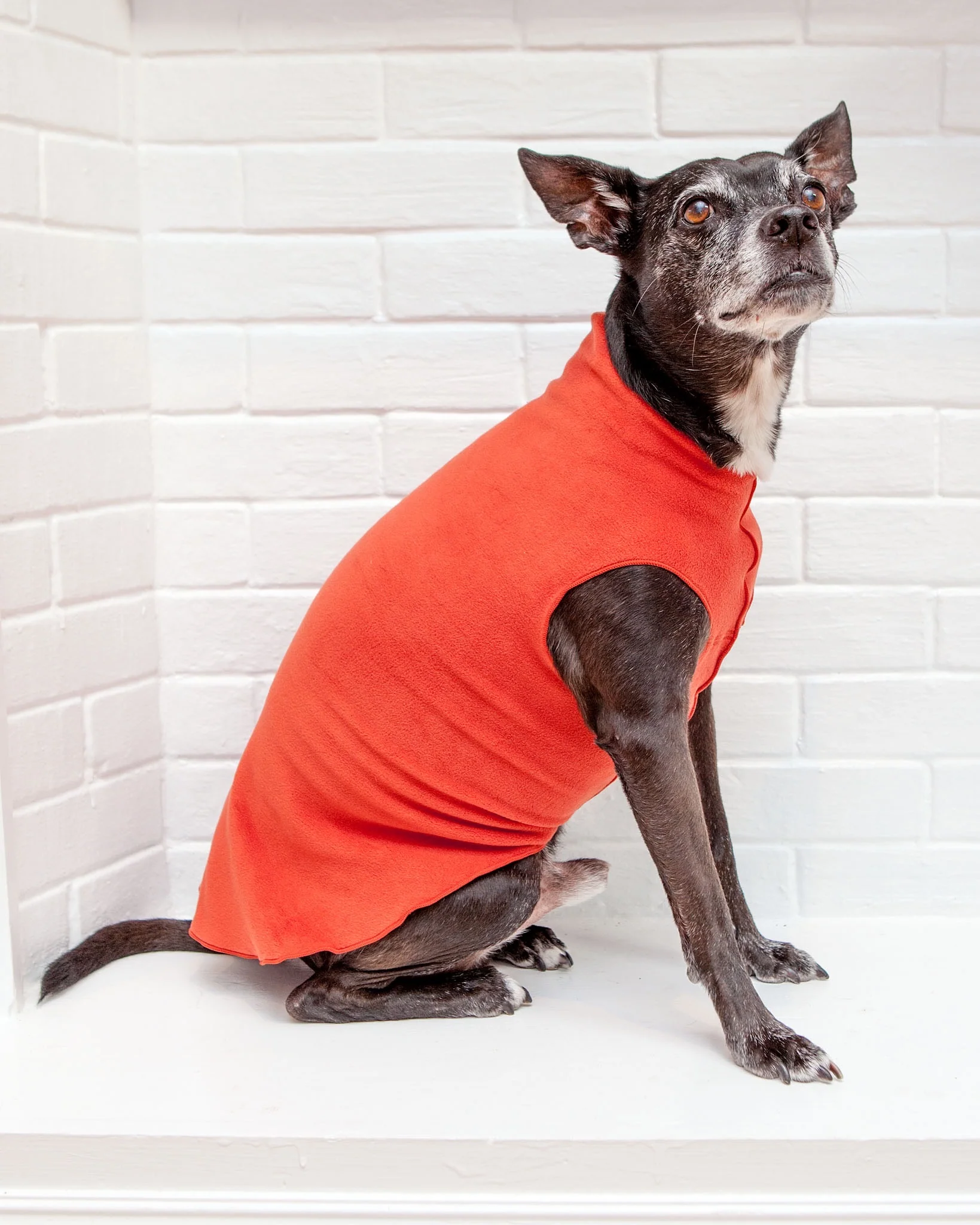 Pullover Stretch Dog Fleece in Paprika - Image 3