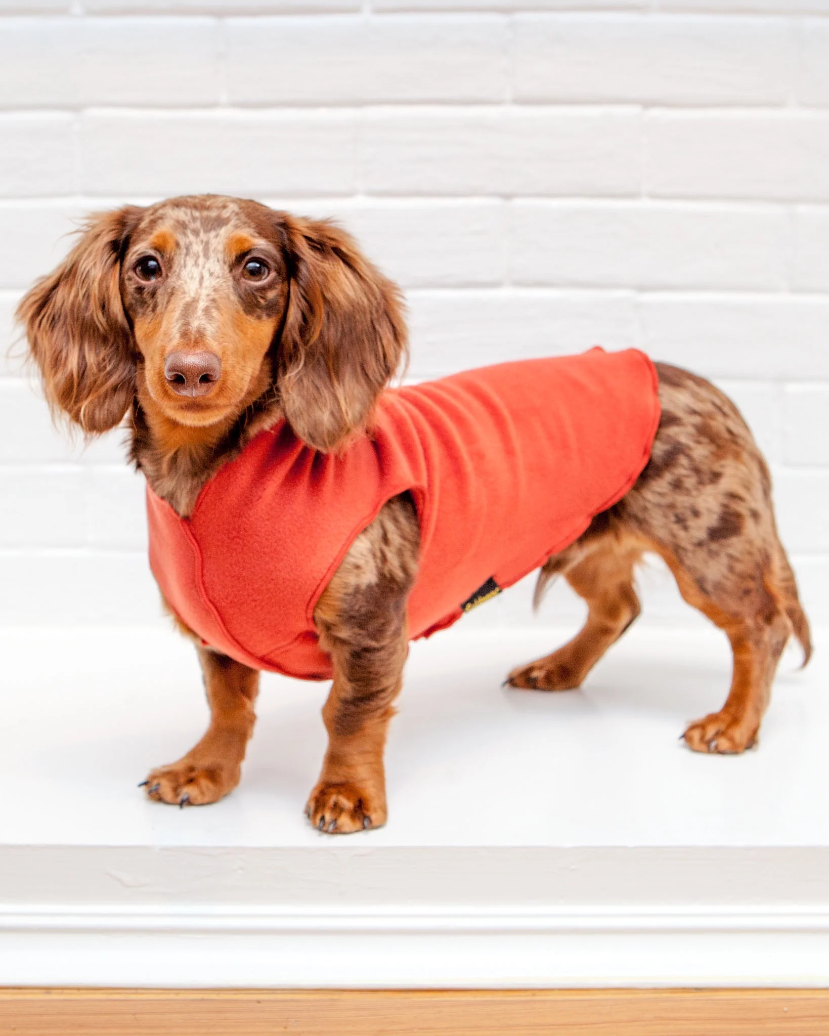 Pullover Stretch Dog Fleece in Paprika - Image 4