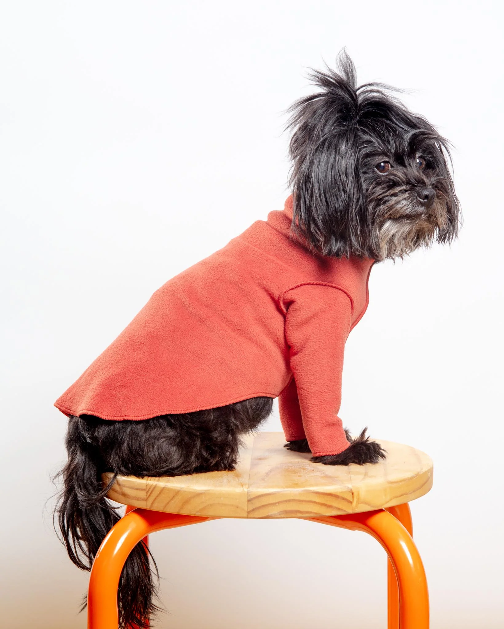 Long-Sleeve Stretch Fleece in Paprika (Made in the USA, DOG & CO. + GOLD PAW Exclusive!)
