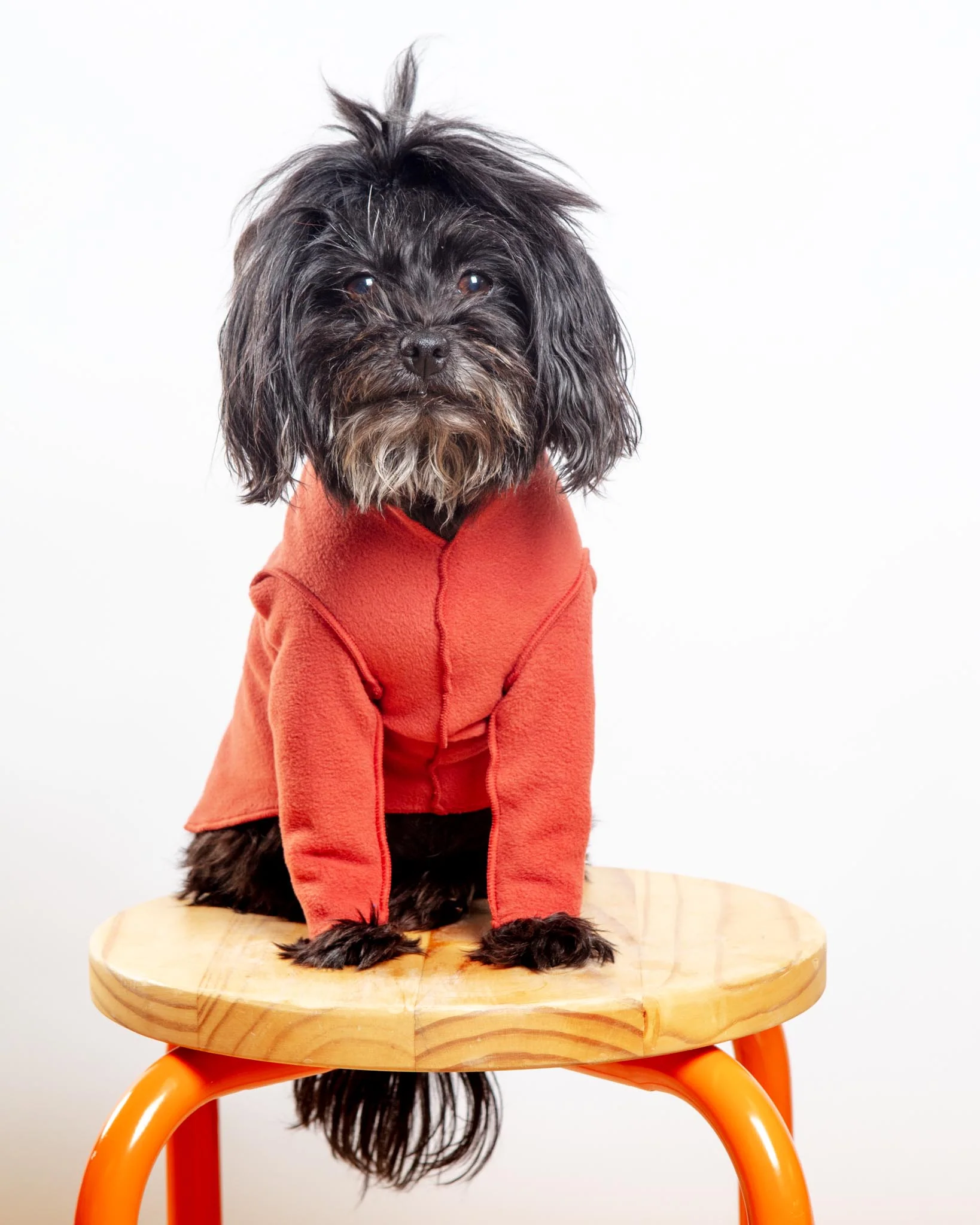 Long-Sleeve Stretch Fleece in Paprika (Made in the USA, DOG & CO. + GOLD PAW Exclusive!) - Image 2