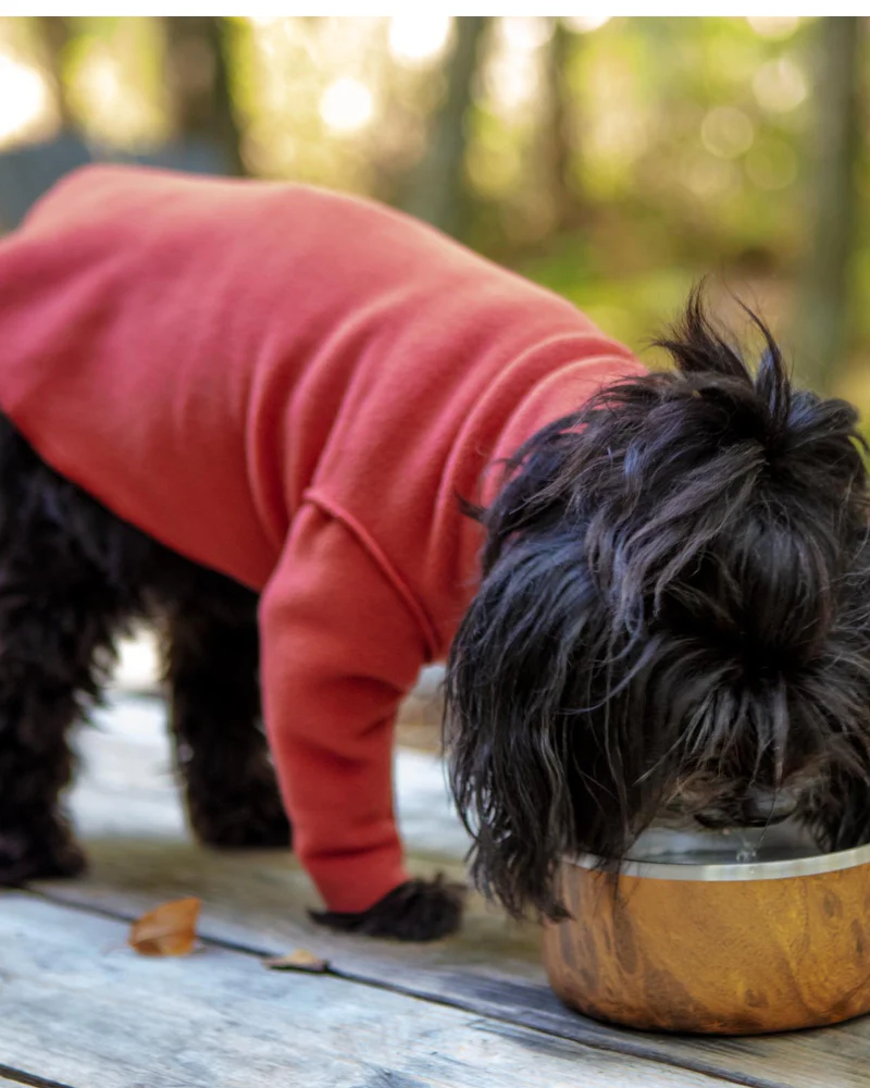 Long-Sleeve Stretch Fleece in Paprika (Made in the USA, DOG & CO. + GOLD PAW Exclusive!) - Image 4