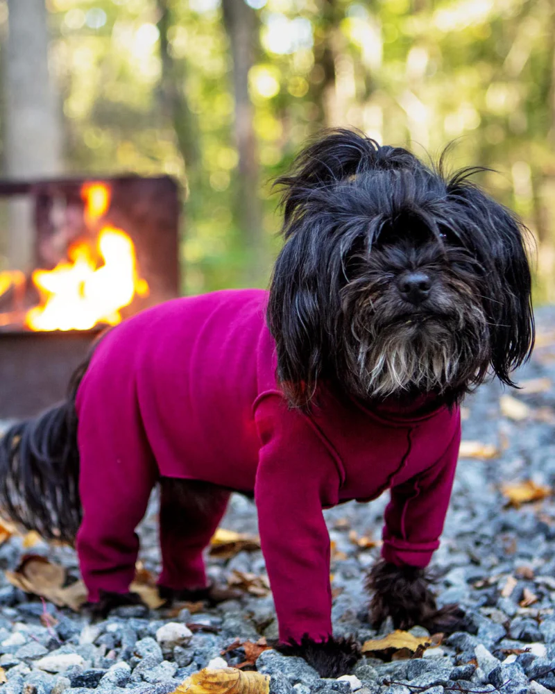 Stretch Fleece Onesie with Shawl Collar in Garnet (Made in the USA, DOG & CO. + GOLD PAW Exclusive!) (FINAL SALE)
