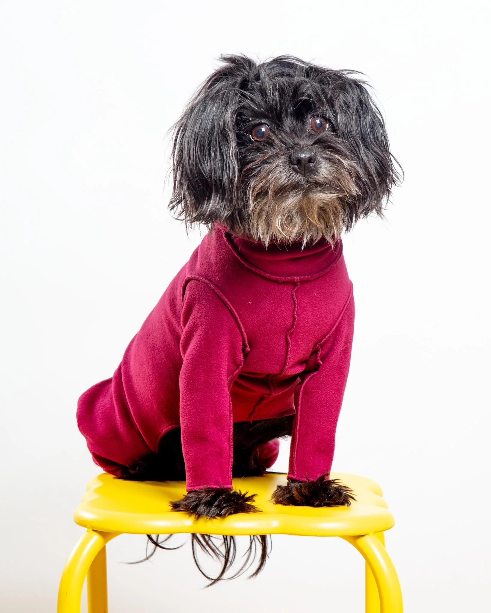 Stretch Fleece Onesie with Shawl Collar in Garnet (Made in the USA, DOG & CO. + GOLD PAW Exclusive!) (FINAL SALE) - Image 2