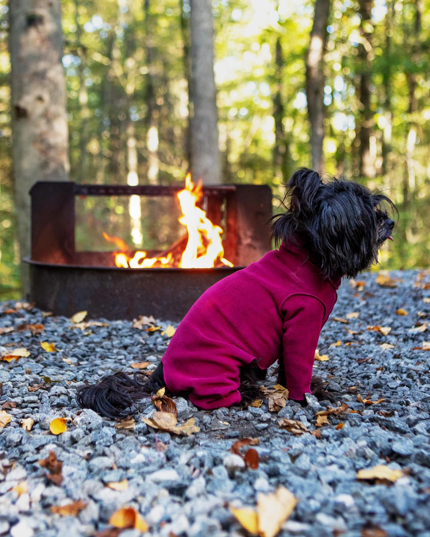 Stretch Fleece Onesie with Shawl Collar in Garnet (Made in the USA, DOG & CO. + GOLD PAW Exclusive!) (FINAL SALE) - Image 3