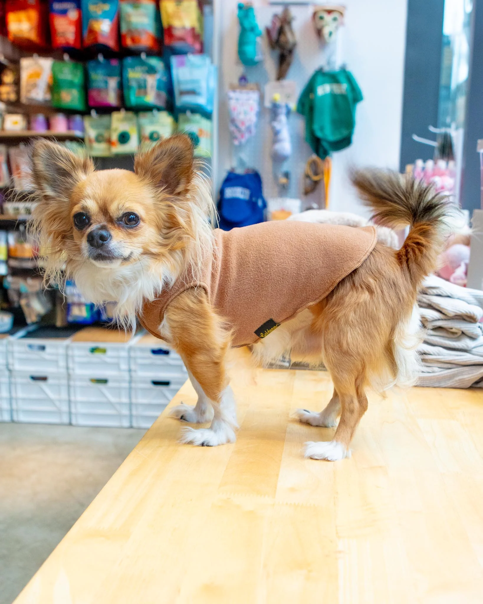 Stretch Fleece Dog Pullover in Chipmunk