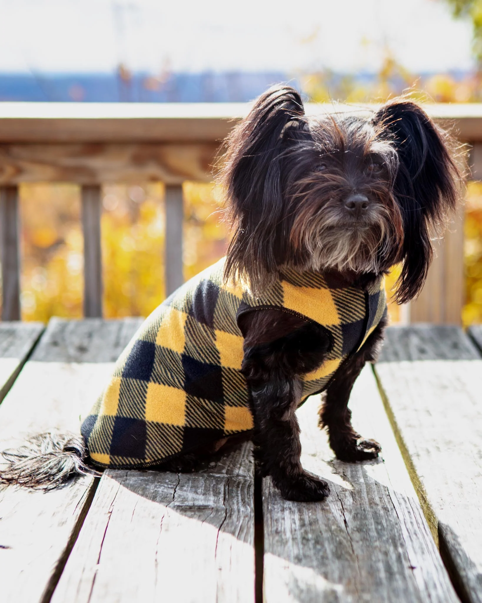 Stretch Fleece Pullover in Yellow Buffalo Plaid (Made in the USA) - Image 3