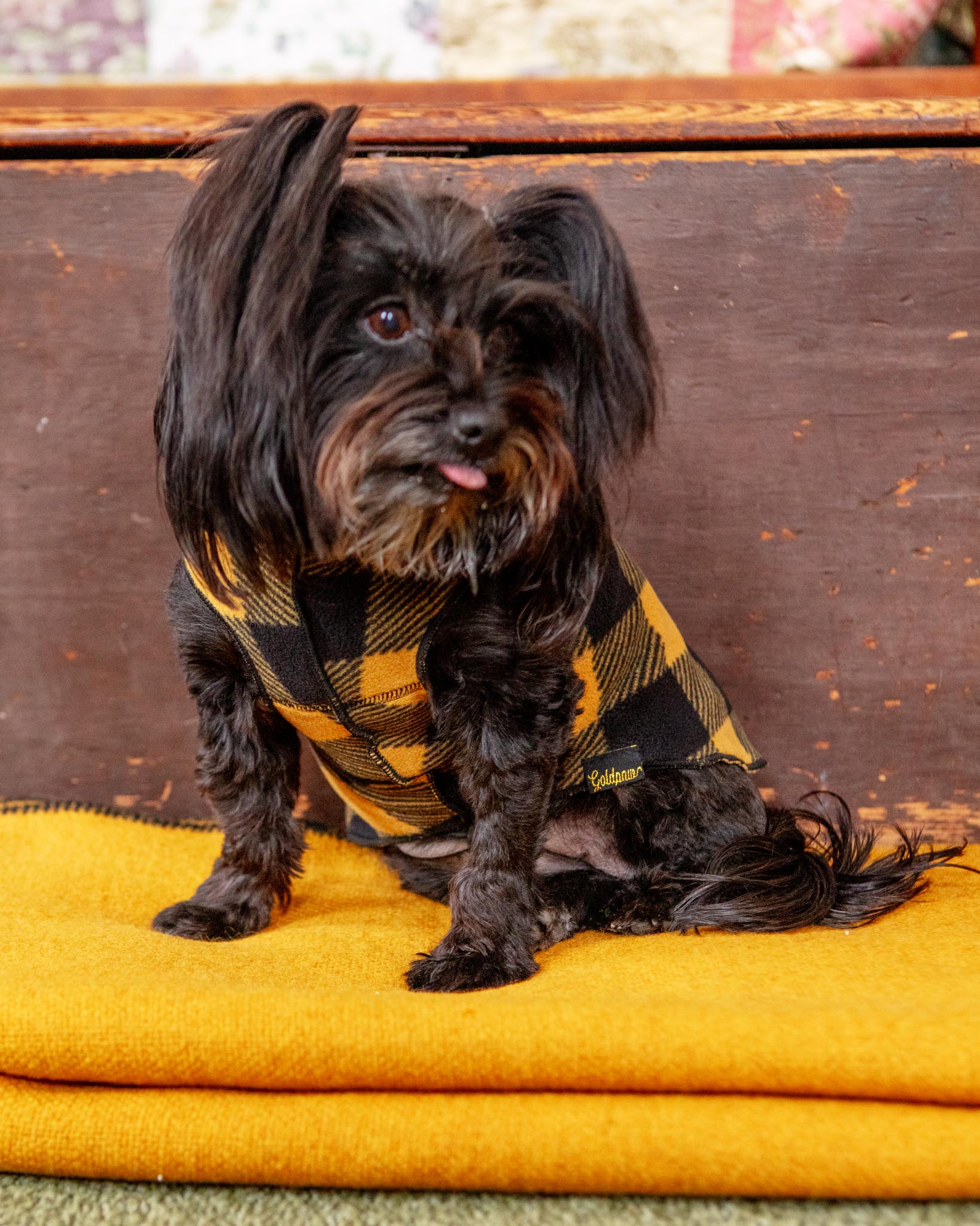 Stretch Fleece Pullover in Yellow Buffalo Plaid (Made in the USA) - Image 5