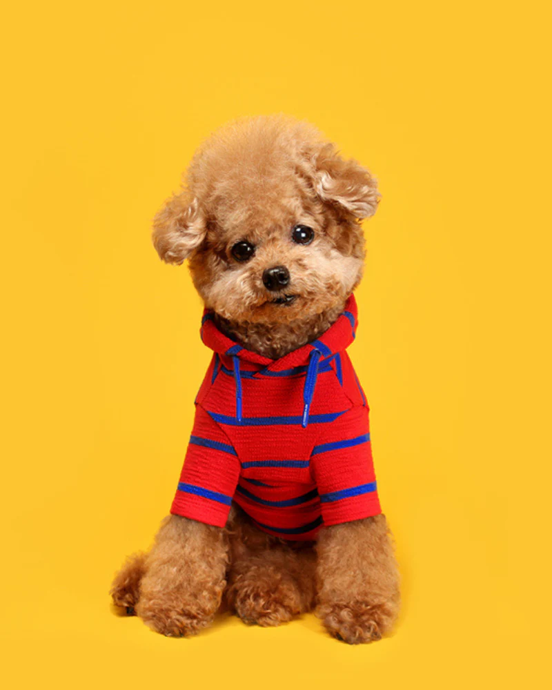 Stripe Dog Hoodie (FINAL SALE) - Image 2