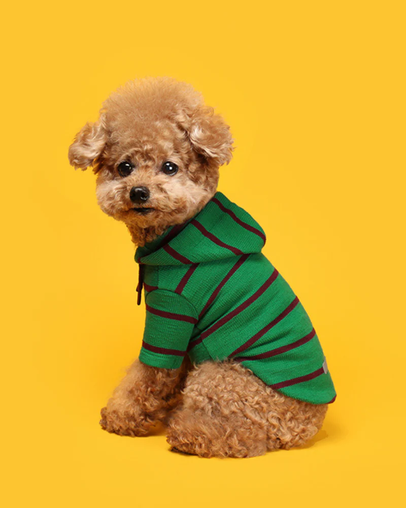 Stripe Dog Hoodie (FINAL SALE) - Image 4