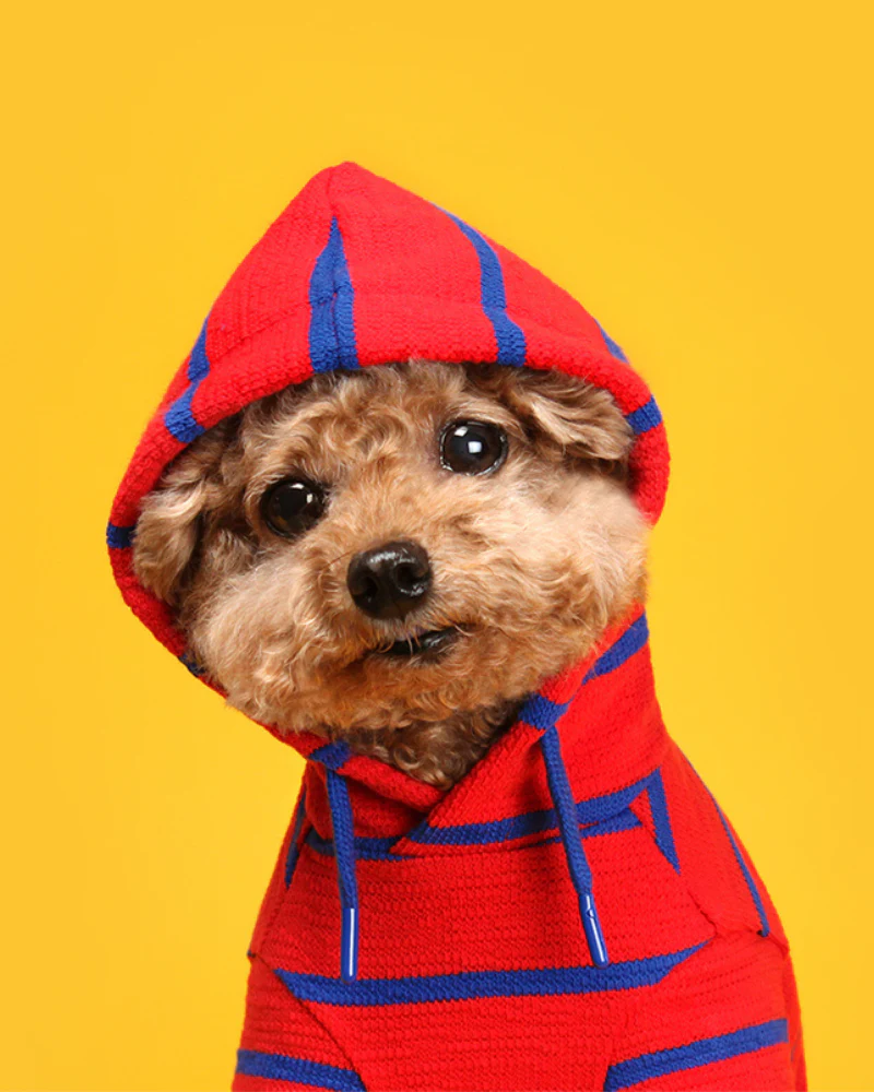 Stripe Dog Hoodie (FINAL SALE) - Image 6
