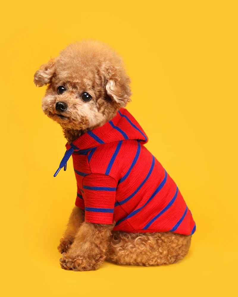 Stripe Dog Hoodie (FINAL SALE) - Image 8