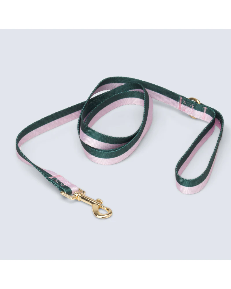 Hunter + Blush Stripe Dog Leash (FINAL SALE)