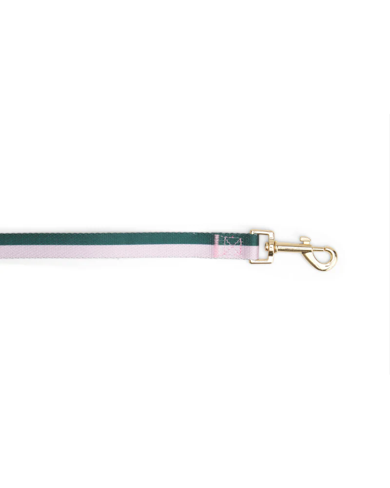 Hunter + Blush Stripe Dog Leash (FINAL SALE) - Image 3