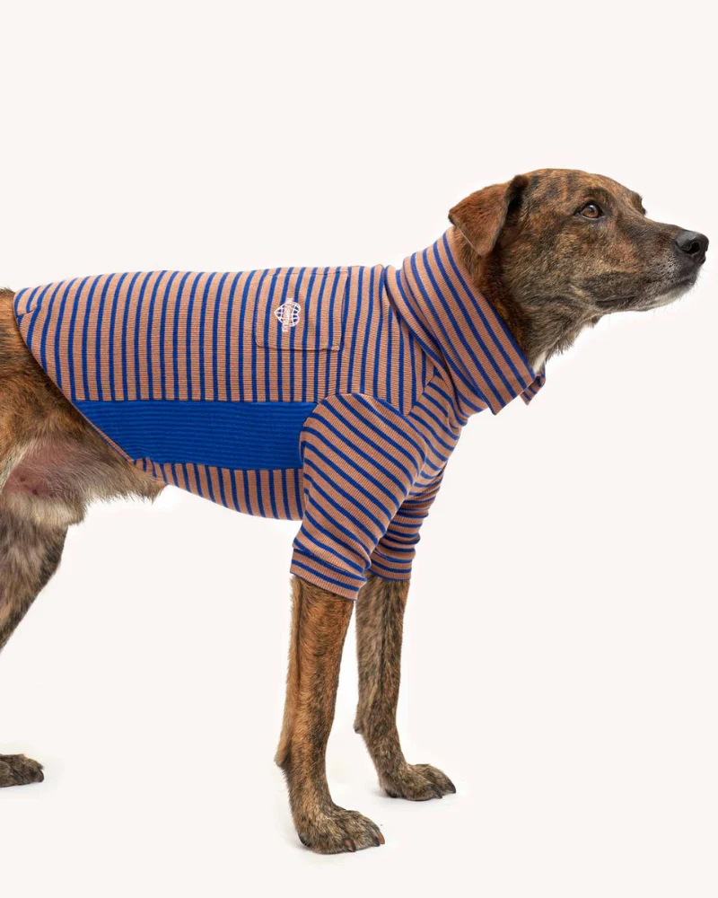 Stripe Dog Tee in Cobalt + Brown (FINAL SALE) - Image 2