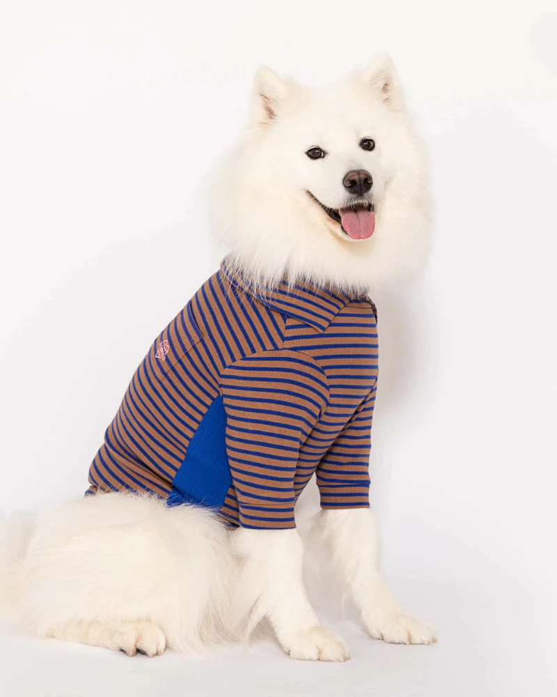 Stripe Dog Tee in Cobalt + Brown (FINAL SALE) - Image 6