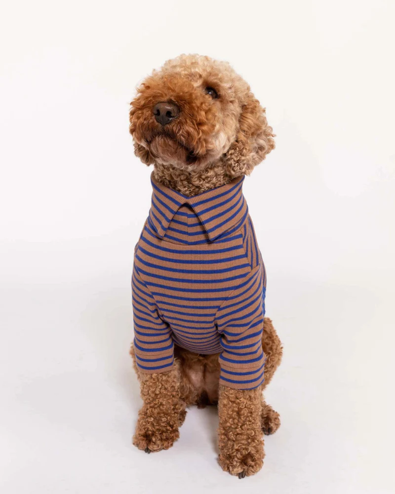 Stripe Dog Tee in Cobalt + Brown (FINAL SALE) - Image 7