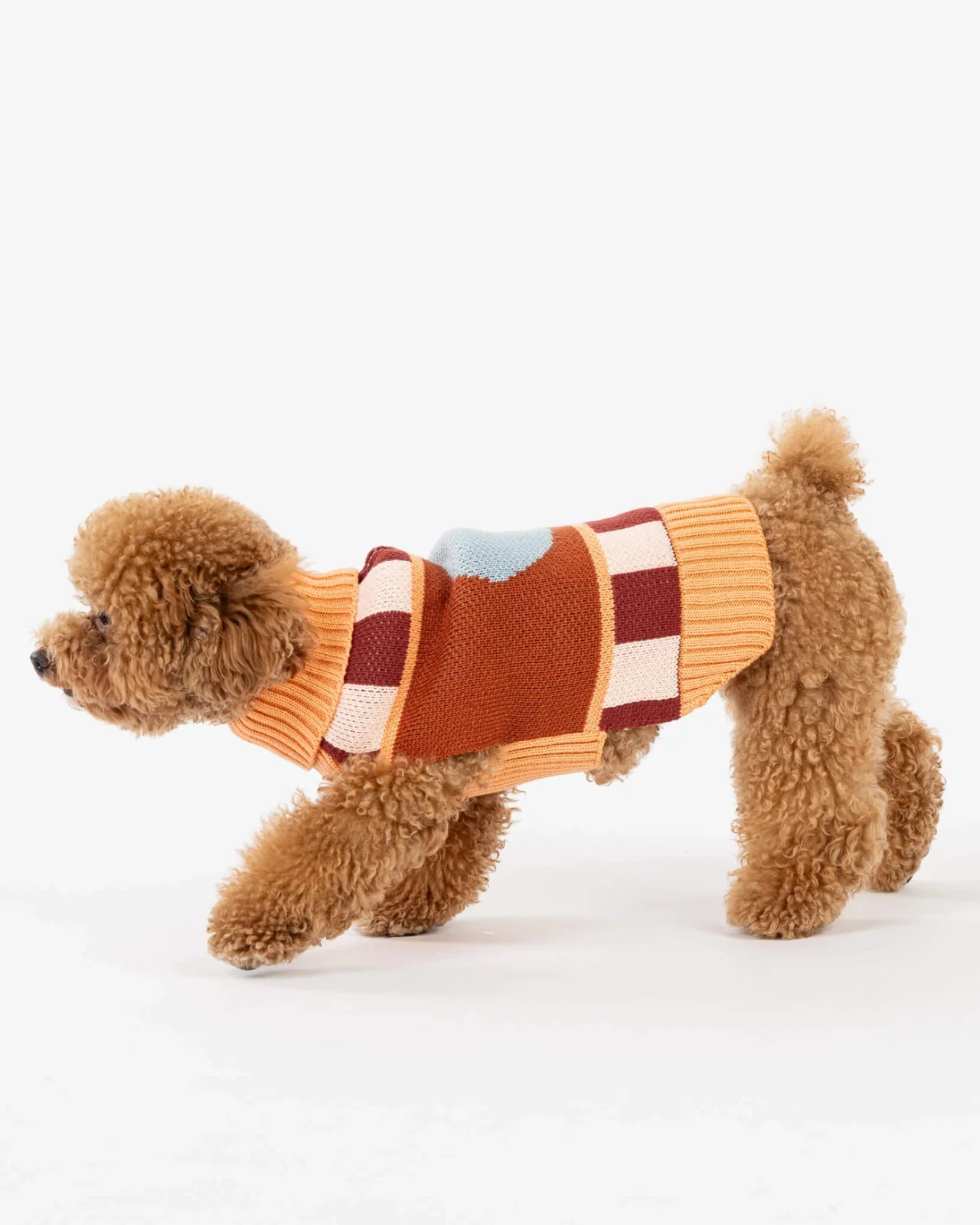 Stripe Dot Dog Sweater (FINAL SALE) - Image 5