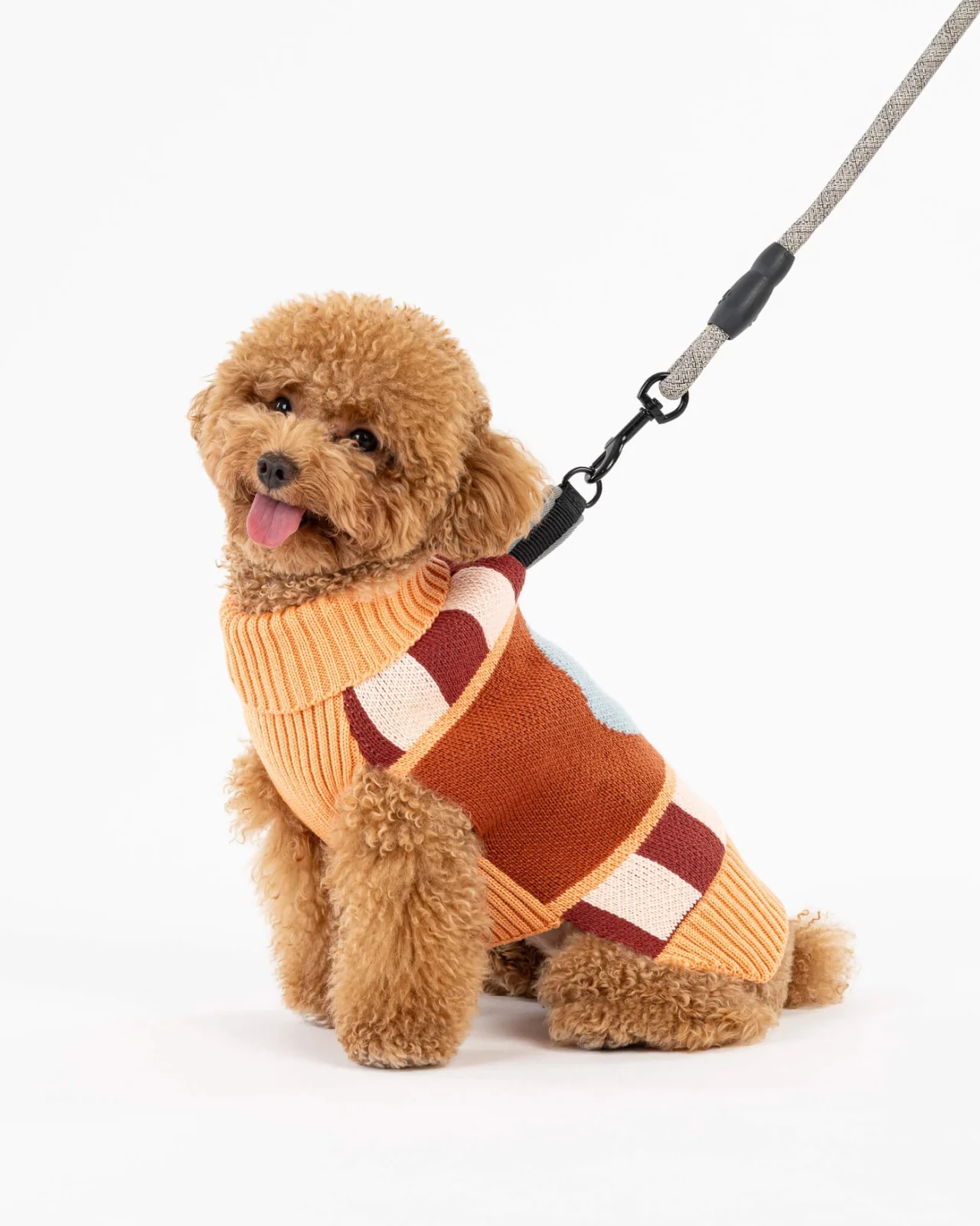 Stripe Dot Dog Sweater (FINAL SALE) - Image 7