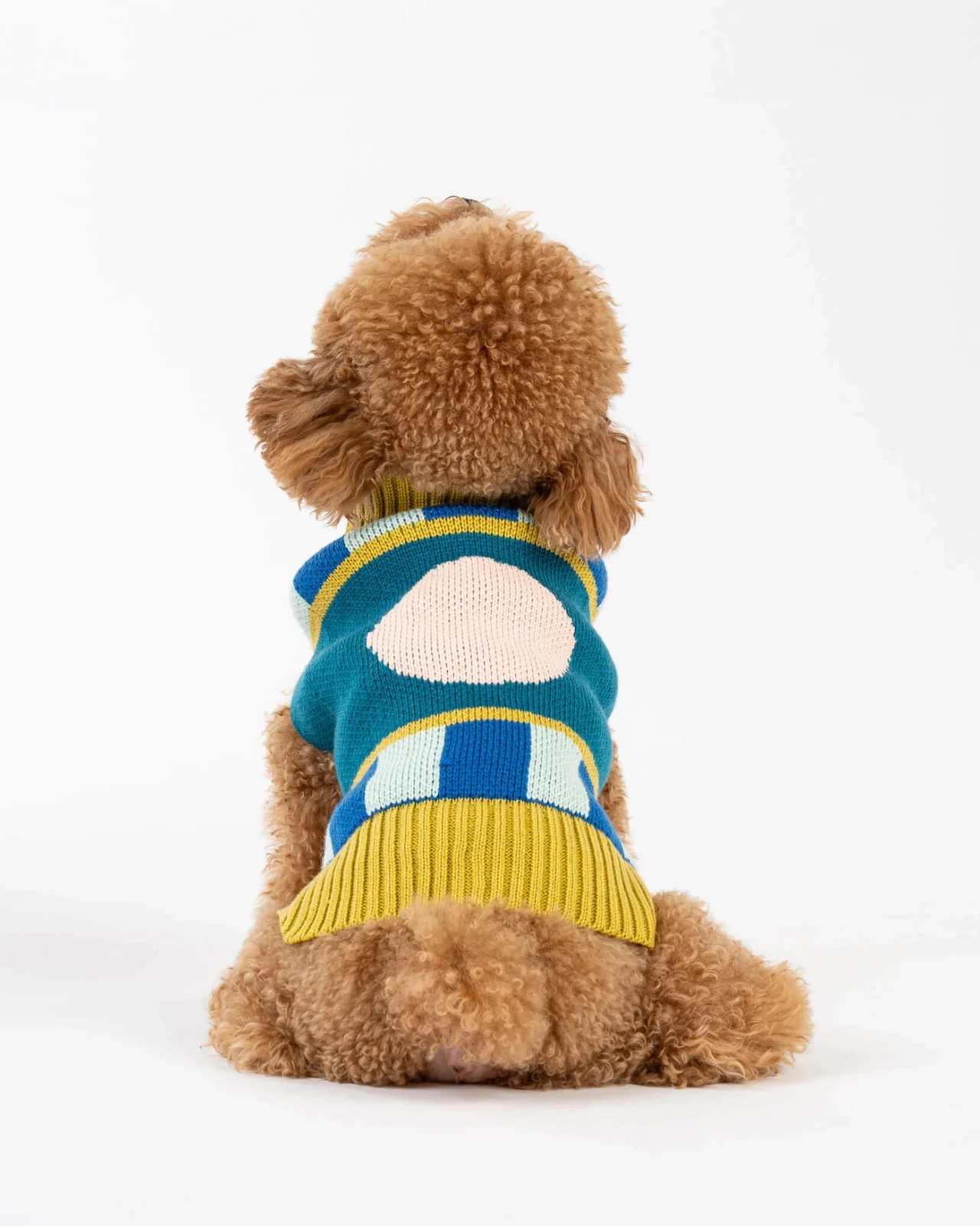 Stripe Dot Dog Sweater in Cobalt - Image 2