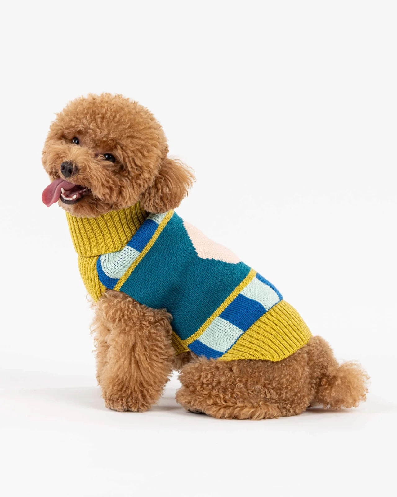 Stripe Dot Dog Sweater in Cobalt - Image 3