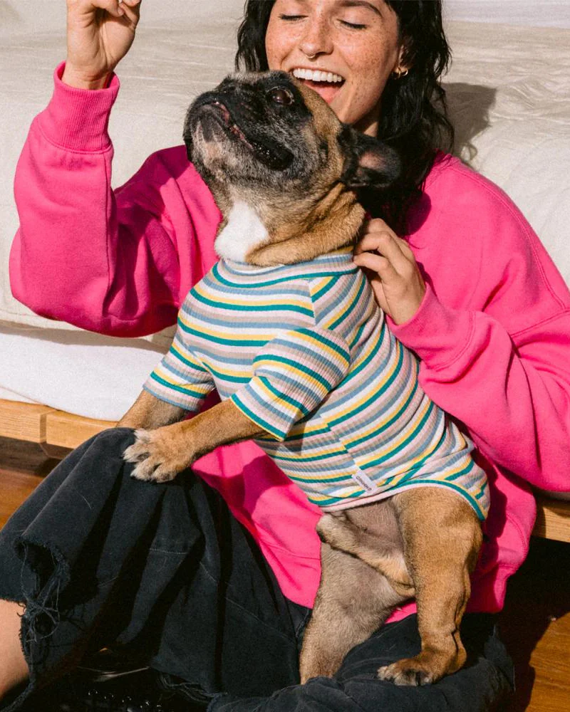 Stripe Ribbed Dog Turtleneck Sweater (FINAL SALE) - Image 4