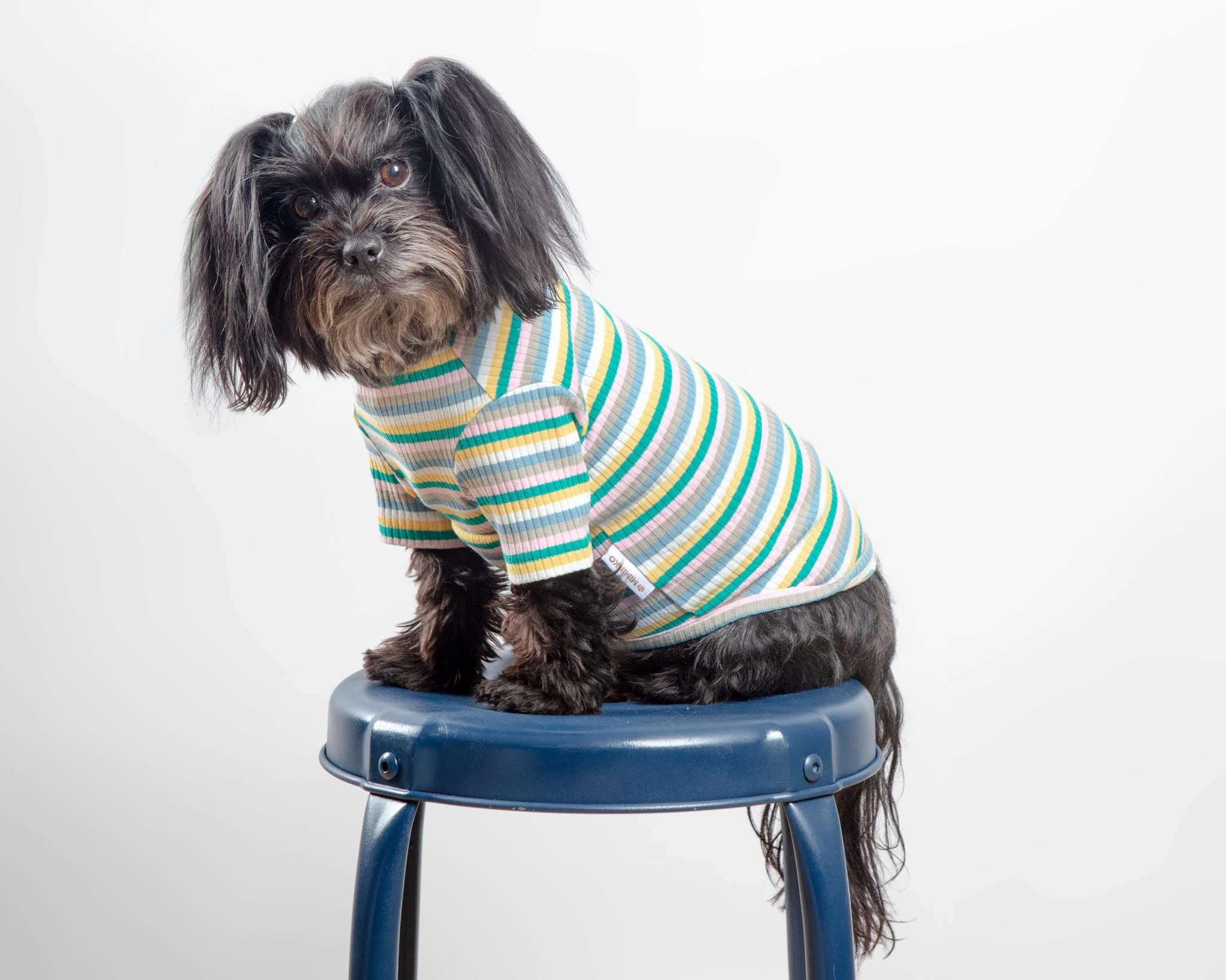 Stripe Ribbed Dog Turtleneck Sweater (FINAL SALE) - Image 7