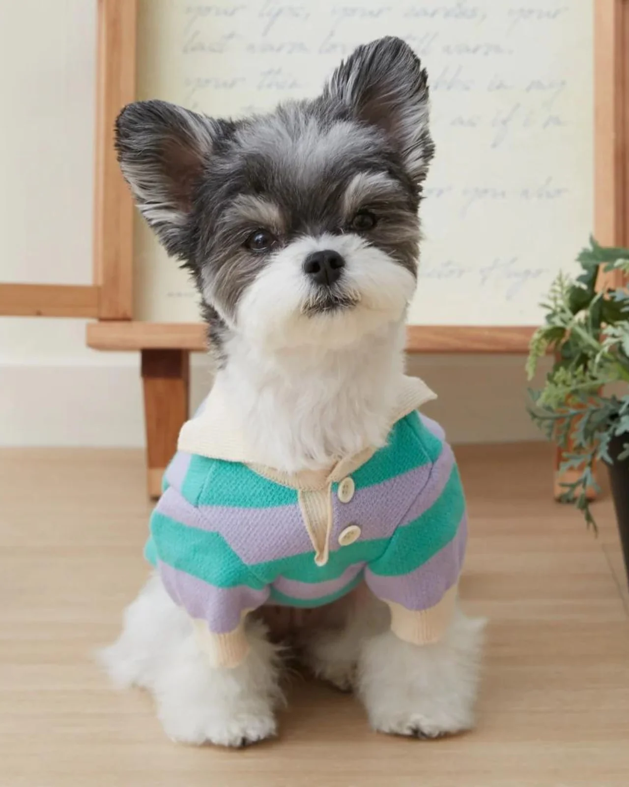 Striped Rugby Knit Dog Sweater (FINAL SALE)