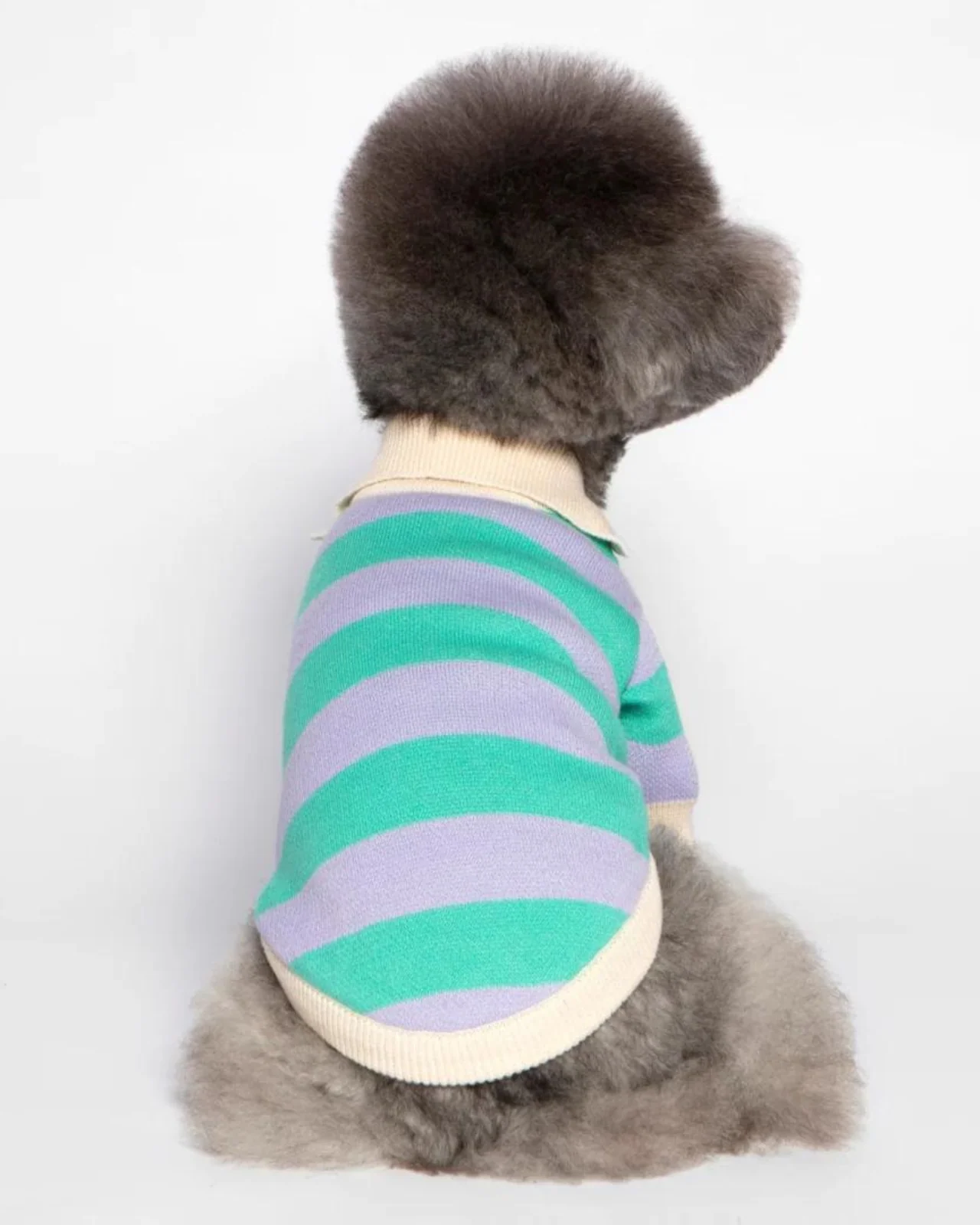 Striped Rugby Knit Dog Sweater (FINAL SALE) - Image 10