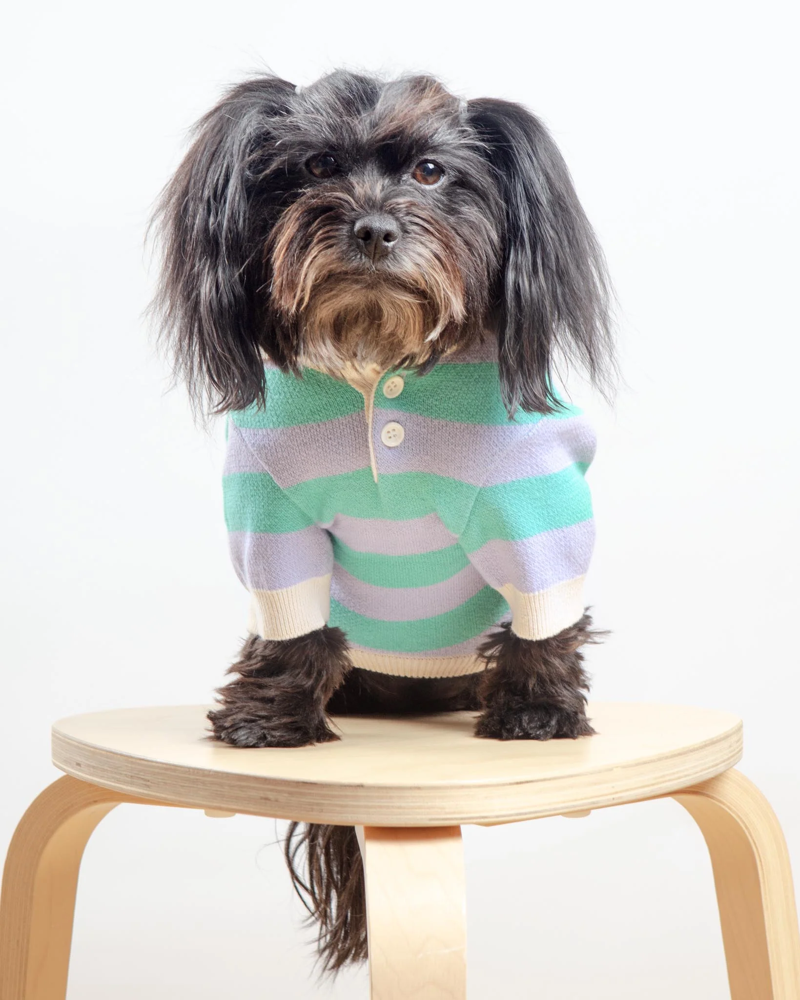Striped Rugby Knit Dog Sweater (FINAL SALE) - Image 3