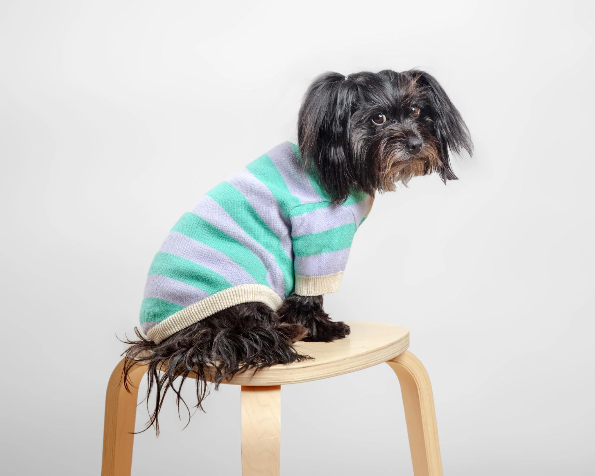 Striped Rugby Knit Dog Sweater (FINAL SALE) - Image 6