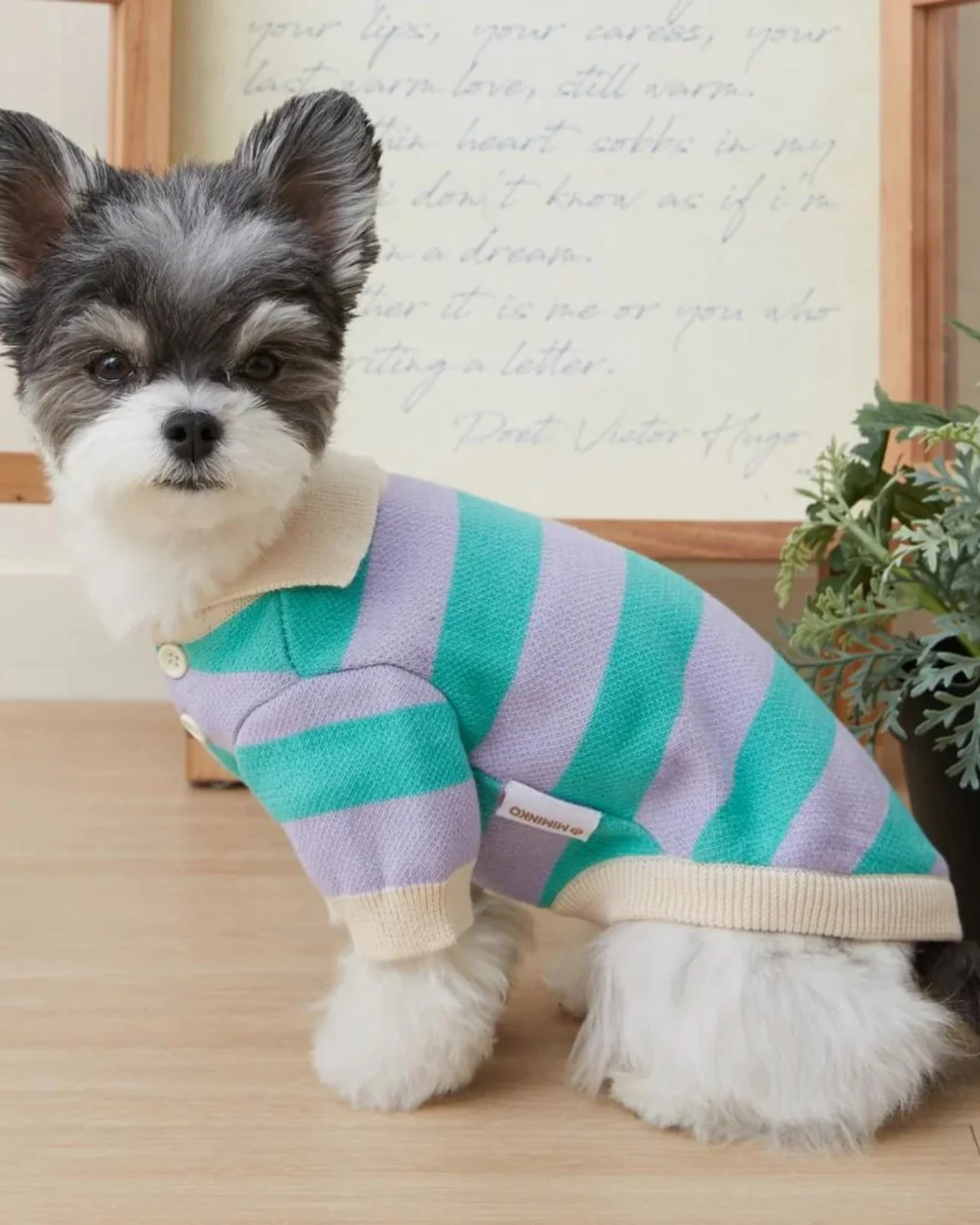 Striped Rugby Knit Dog Sweater (FINAL SALE) - Image 7