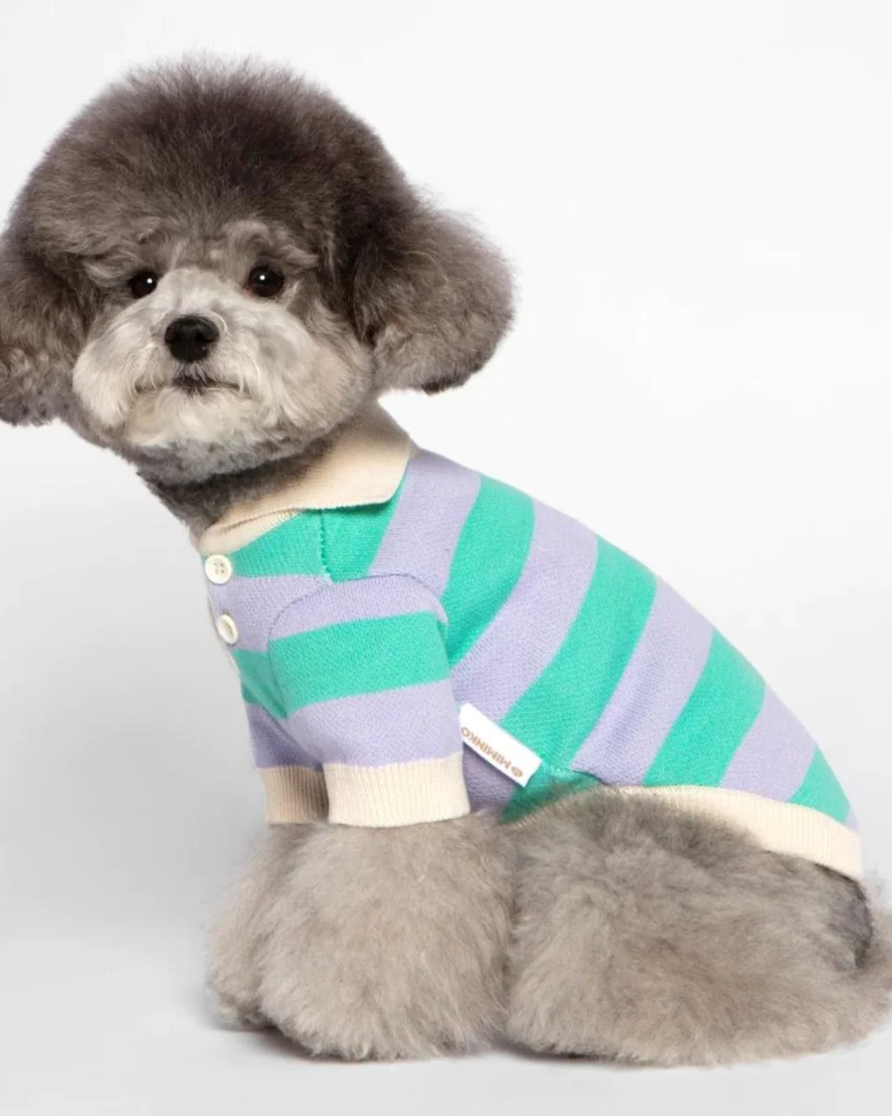 Striped Rugby Knit Dog Sweater (FINAL SALE) - Image 9