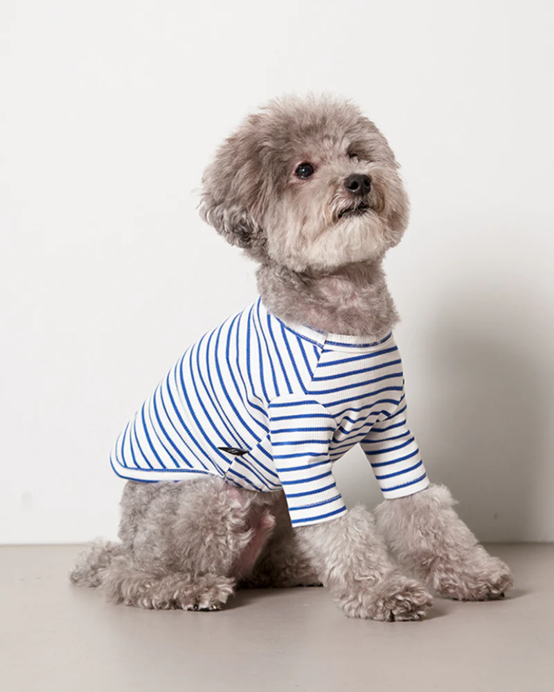 Striped Dog T-Shirt in Blue - Image 3