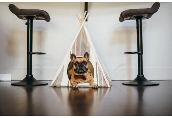 Striped TeePee in Lake (Drop-Ship) - Image 6