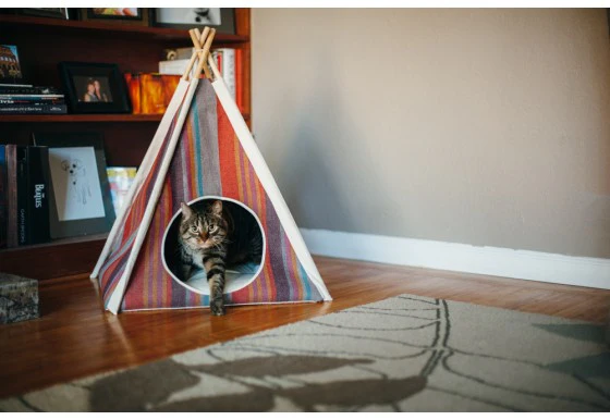 Striped Pet Teepee in Seacoast (Drop-Ship) - Image 6