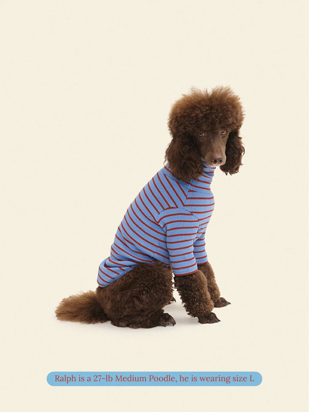 Student Loan Dog Shirt - Image 3
