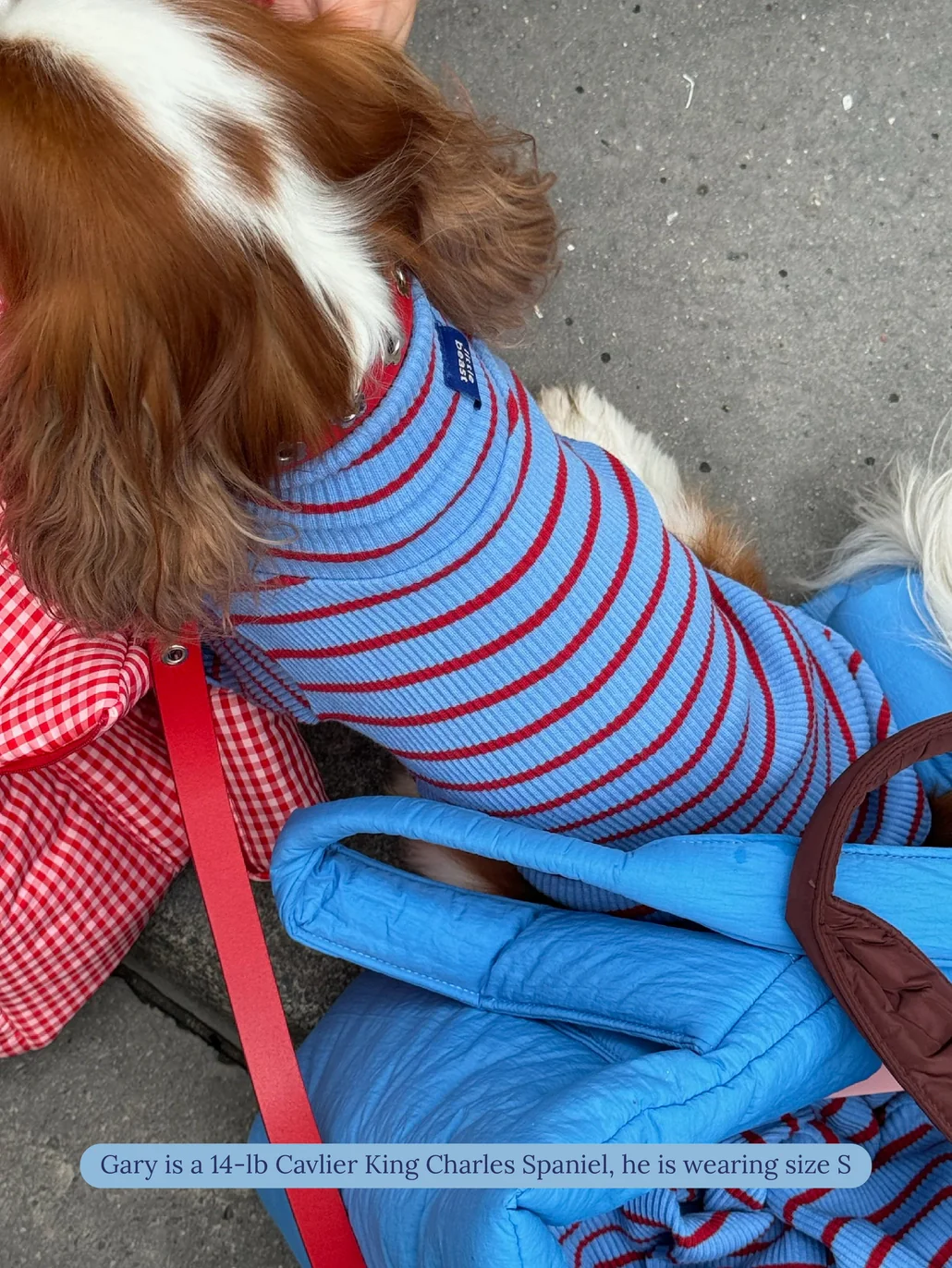 Student Loan Dog Shirt - Image 6