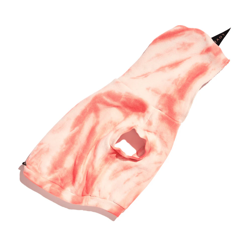Studio Splatter Dog Sweatshirt in Peach - Image 4