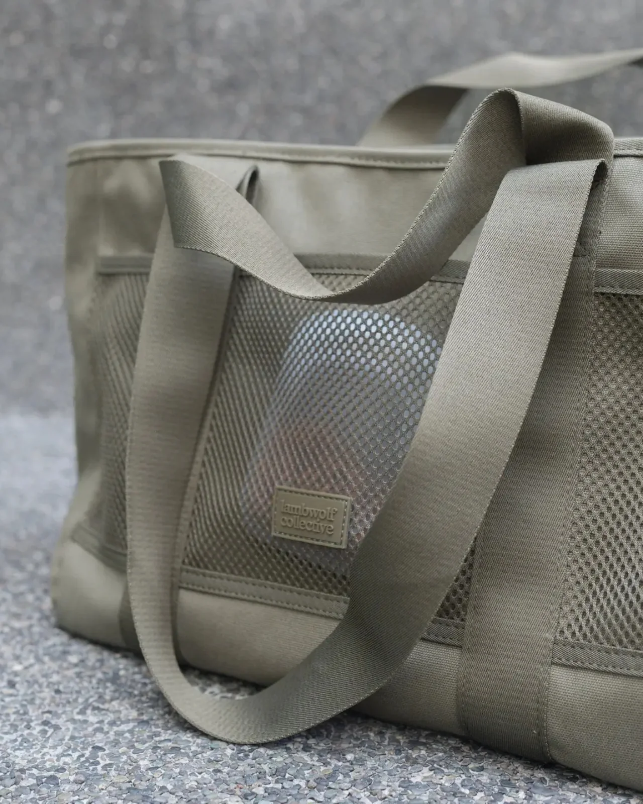Subway Pet Carrier in Fern - Image 5