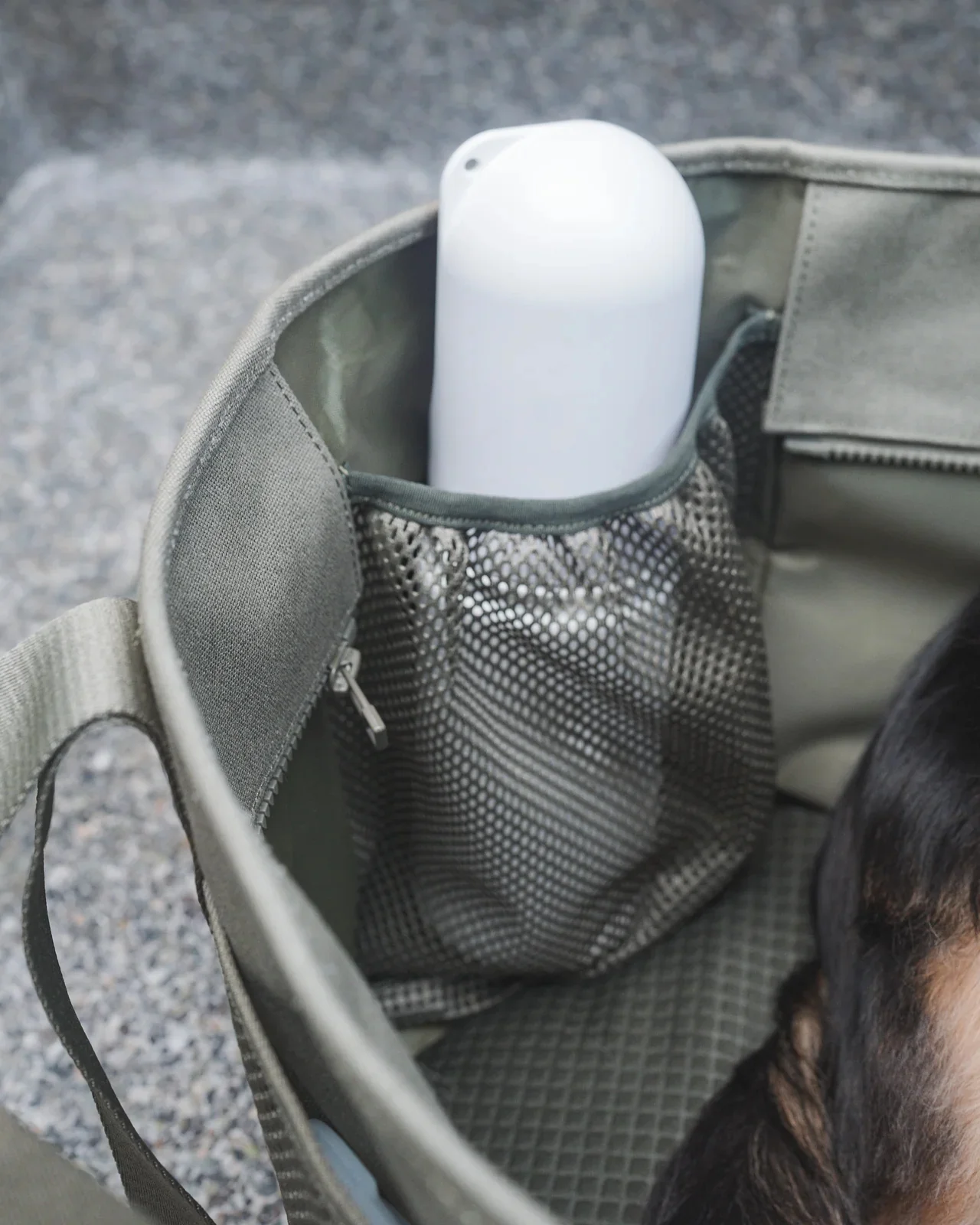 Subway Pet Carrier in Fern - Image 6
