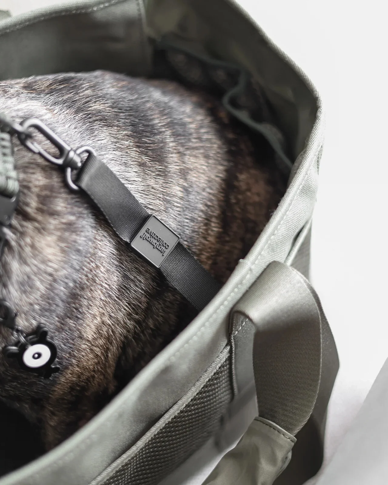 Subway Pet Carrier in Fern - Image 8
