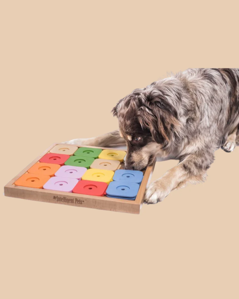 Sudoku Dog Treat Puzzle Game in Rainbow Edition (16 squares) - Image 4