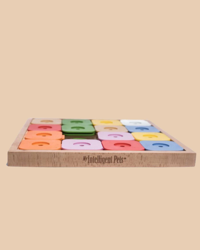 Sudoku Dog Treat Puzzle Game in Rainbow Edition (16 squares) - Image 6